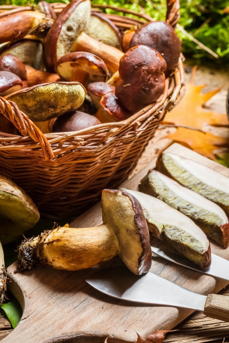 Cutting forest mushrooms in a pan