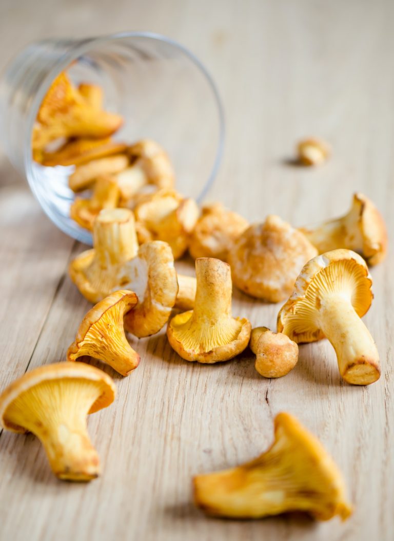 Fresh chanterelles